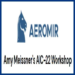 Aeromir – Amy Meissner’s AIC-22 Workshop