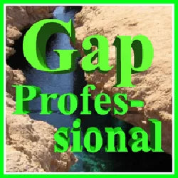 Gap Professional EA v1.2