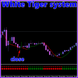 WHITE TIGER SYSTEM