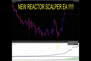 REACTOR SCALPER EA