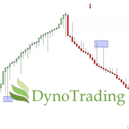 DynoBars Pro