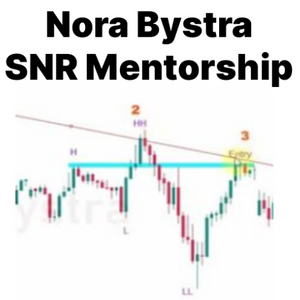 Nora Bystra SNR Mentorship