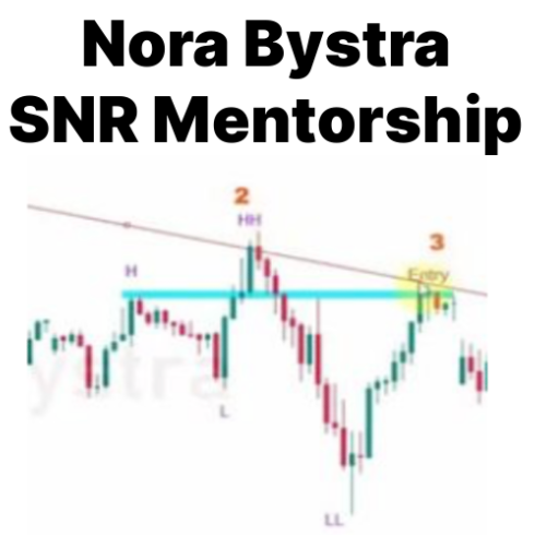 Nora Bystra SNR Mentorship