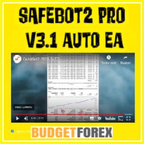 SAFEBOT2 PRO v3.1 AUTO EA (with Source Code)