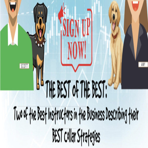 Best of the Best Collars Course