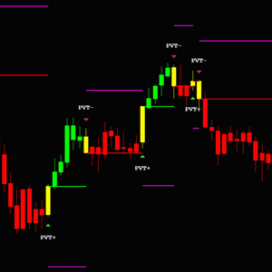 TACHEON PRICE VOLUME TIME Indicator NT8