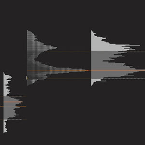 Price Action Volume Trader – Trading with Market and Volume Profile