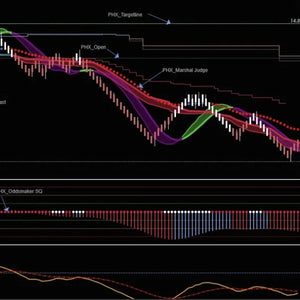 PHOENIX INDICATORS SYSTEM NT8