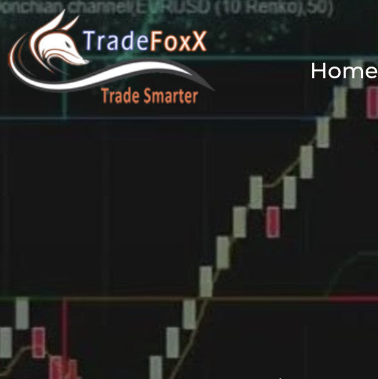TradeFoxx Auto Trader NT8